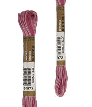 Cargar la imagen en el visor de la galería, Maxi Mouline matizado