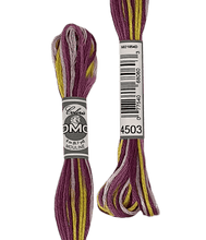 Cargar la imagen en el visor de la galería, Coloris DMC