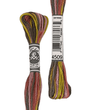 Cargar la imagen en el visor de la galería, Coloris DMC