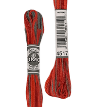 Cargar la imagen en el visor de la galería, Coloris DMC