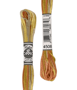 Coloris DMC
